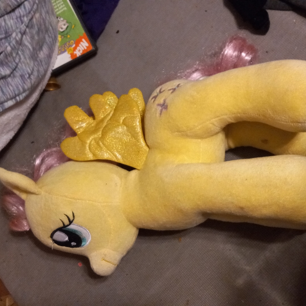 COPY - Flutter shy